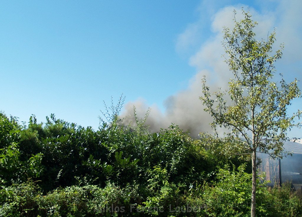 Gartenlaube in Vollbrand Koeln Poll Im Gremberger Waeldchen P093.JPG